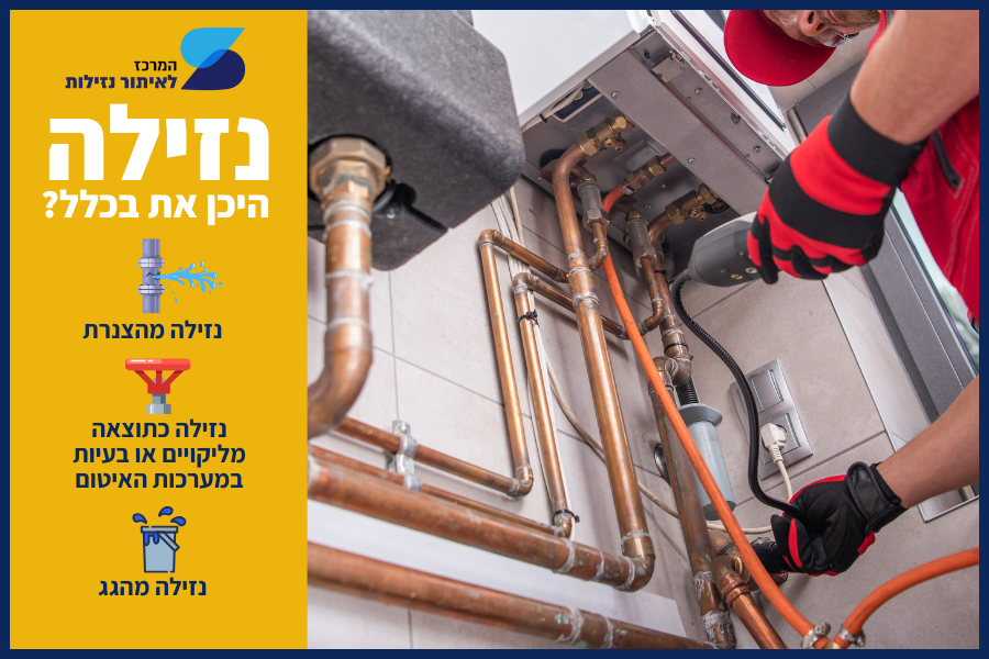 נזילה היכן את