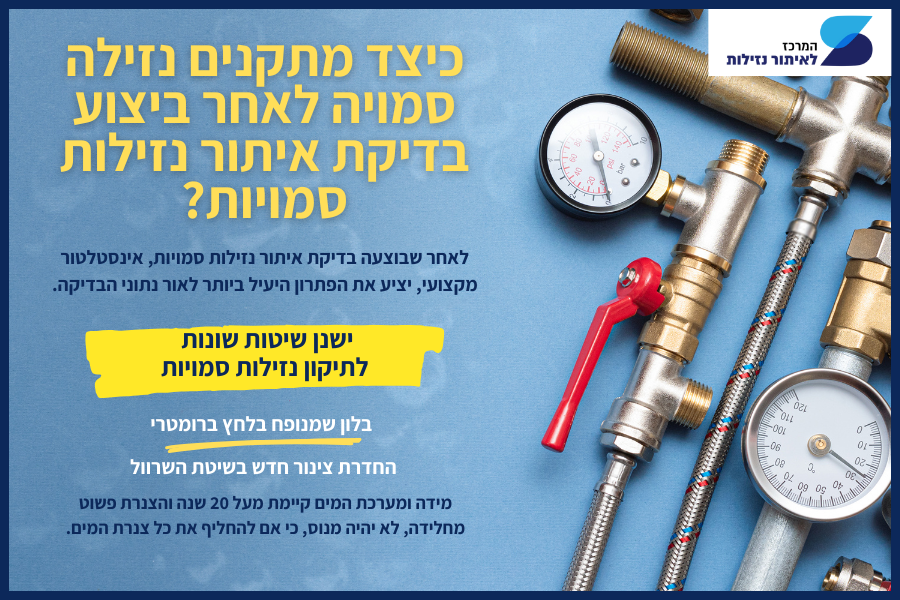 כיצד מתקנים נזילה סמויה
