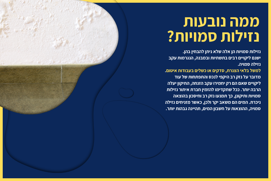 ממה נובעת נזילות סמויות
