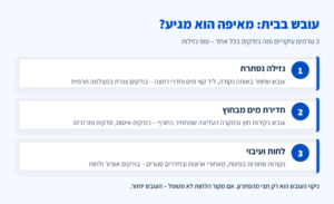 אינפוגרפיקה: 3 גורמים לעובש בבית – נזילה נסתרת, חדירת מים מבחוץ ולחות ועיבוי – ומה בודקים בכל מקרה