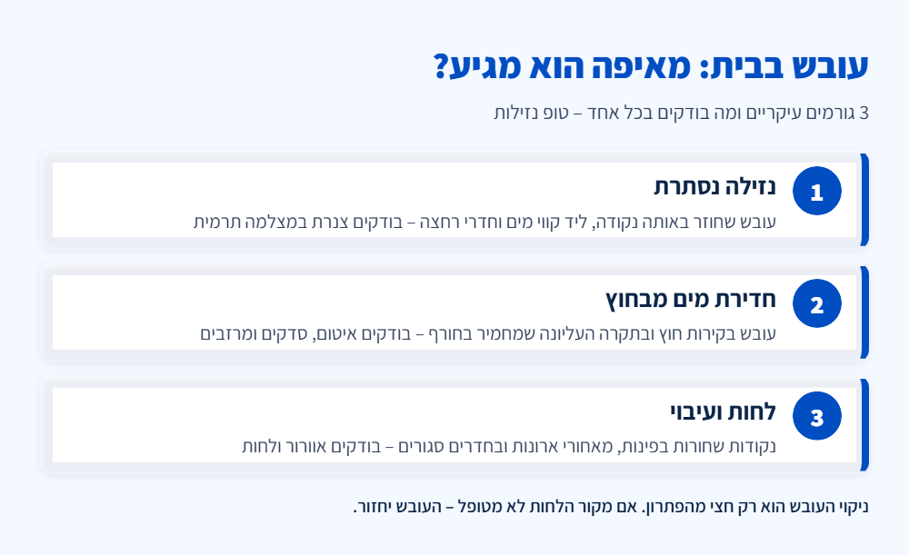אינפוגרפיקה: 3 גורמים לעובש בבית – נזילה נסתרת, חדירת מים מבחוץ ולחות ועיבוי – ומה בודקים בכל מקרה