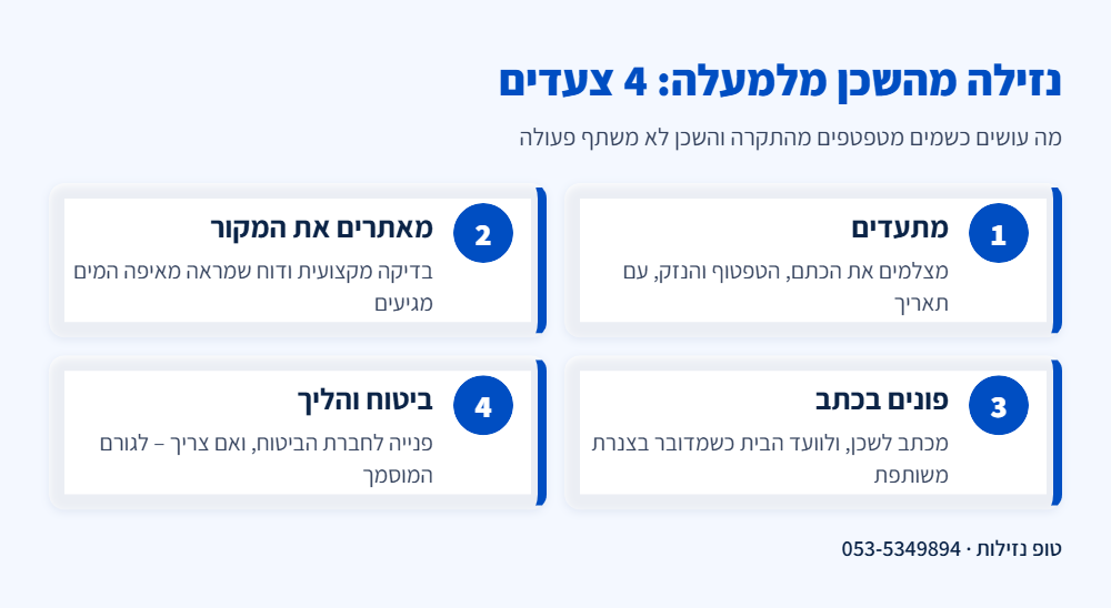 אינפוגרפיקה: 4 צעדים כשיש נזילה מהשכן מלמעלה – תיעוד, איתור המקור, פנייה בכתב לשכן ולוועד הבית, וביטוח או הליך מול הגורם המוסמך