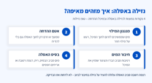 אינפוגרפיקה: 4 נקודות נפוצות לנזילה באסלה – מנגנון המילוי, אטם ההדחה, חיבור המים ובסיס האסלה